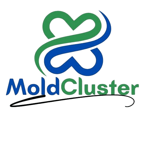 Moldcluster