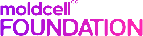 Moldcell Foundation